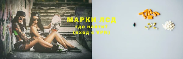индика Балахна