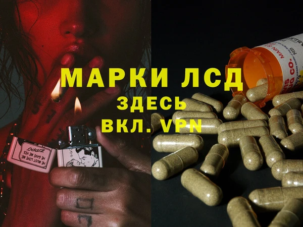 скорость Кукмор