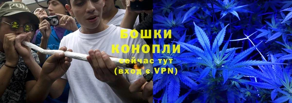 трава Беломорск