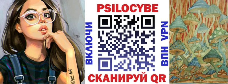 МЕГА ТОР  Ясногорск  Галлюциногенные грибы Psilocybe 