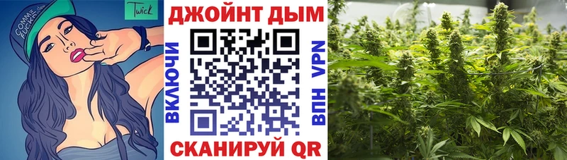 Конопля план  Ясногорск 